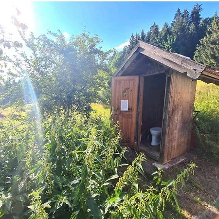 Ferienhaus Klause Neureichenau Exteriör bild