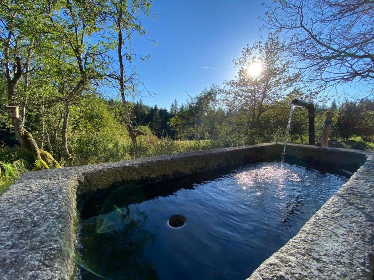 Ferienhaus Klause Neureichenau Exteriör bild