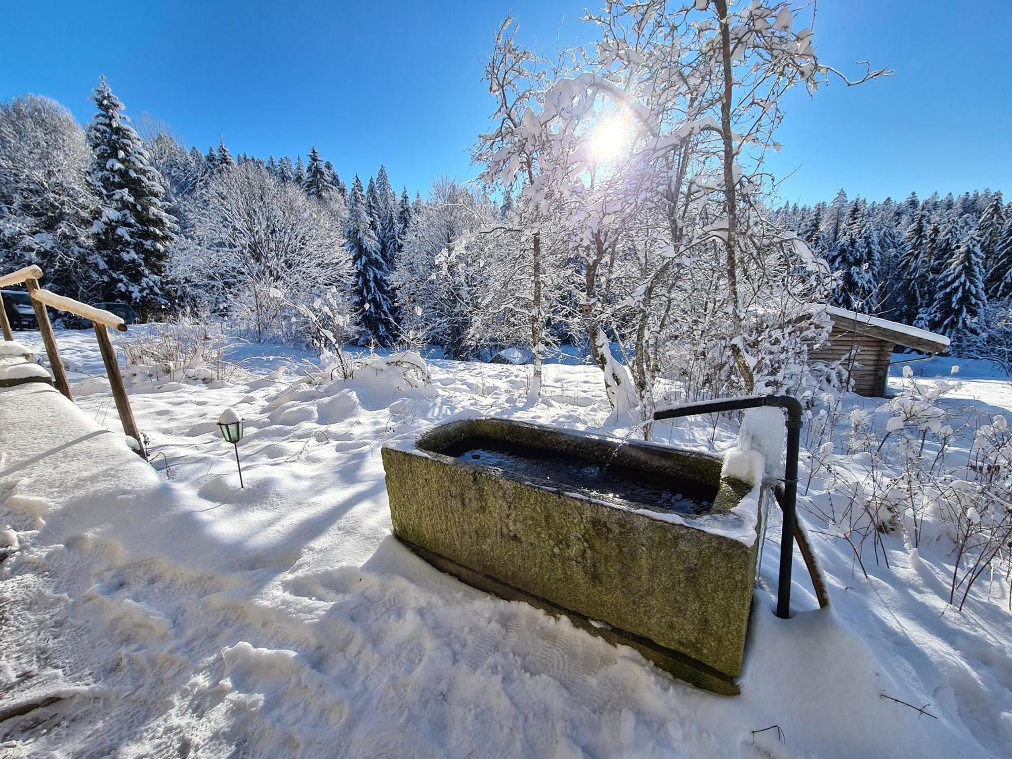 Ferienhaus Klause Neureichenau Exteriör bild