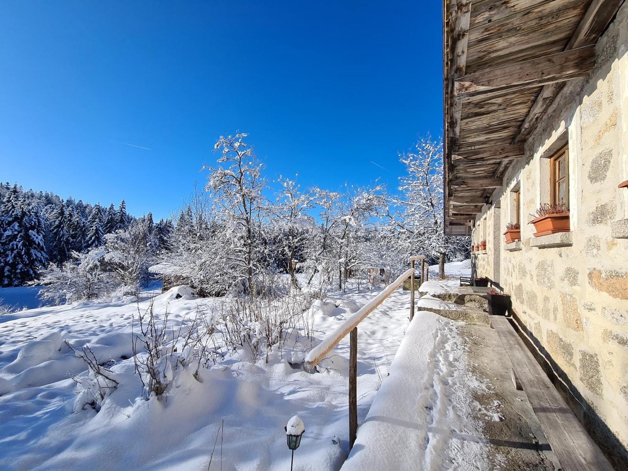 Ferienhaus Klause Neureichenau Exteriör bild